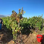 Angelus Amazing Views Sea + Teide شقة La Matanza De Acentejo