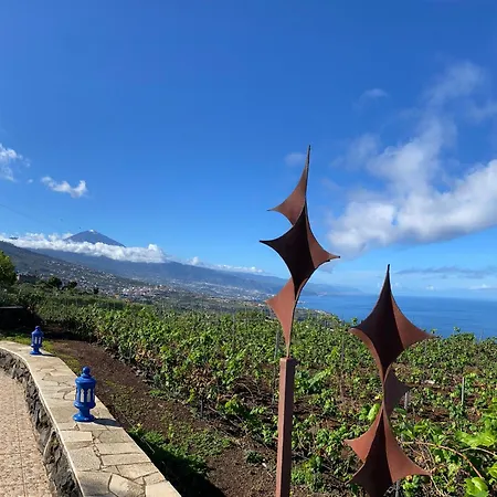 Angelus Amazing Views Sea + Teide شقة